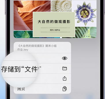 榆次apple维修中心分享iPhone文件应用中存储和找到下载文件