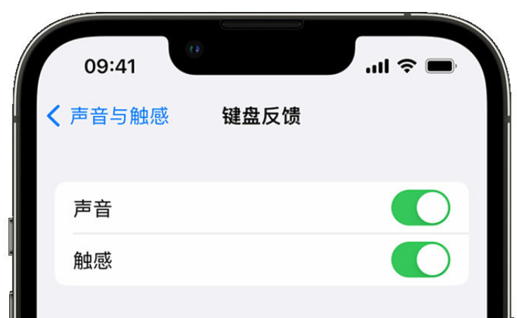 榆次苹果手机维修分享iPhone 14触感键盘使用方法 