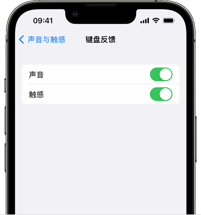 榆次苹果14维修店分享如何在 iPhone 14 机型中使用触感键盘 