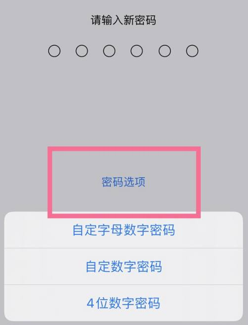 榆次苹果14维修分享iPhone 14plus设置密码的方法 